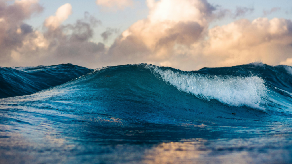 Whispers of the Tide